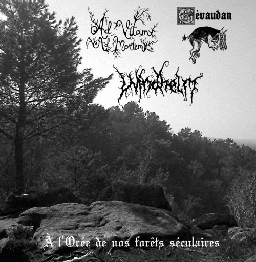 Ad Vitam Ad Mortem : A l'Orée de Nos Forêts Séculaires